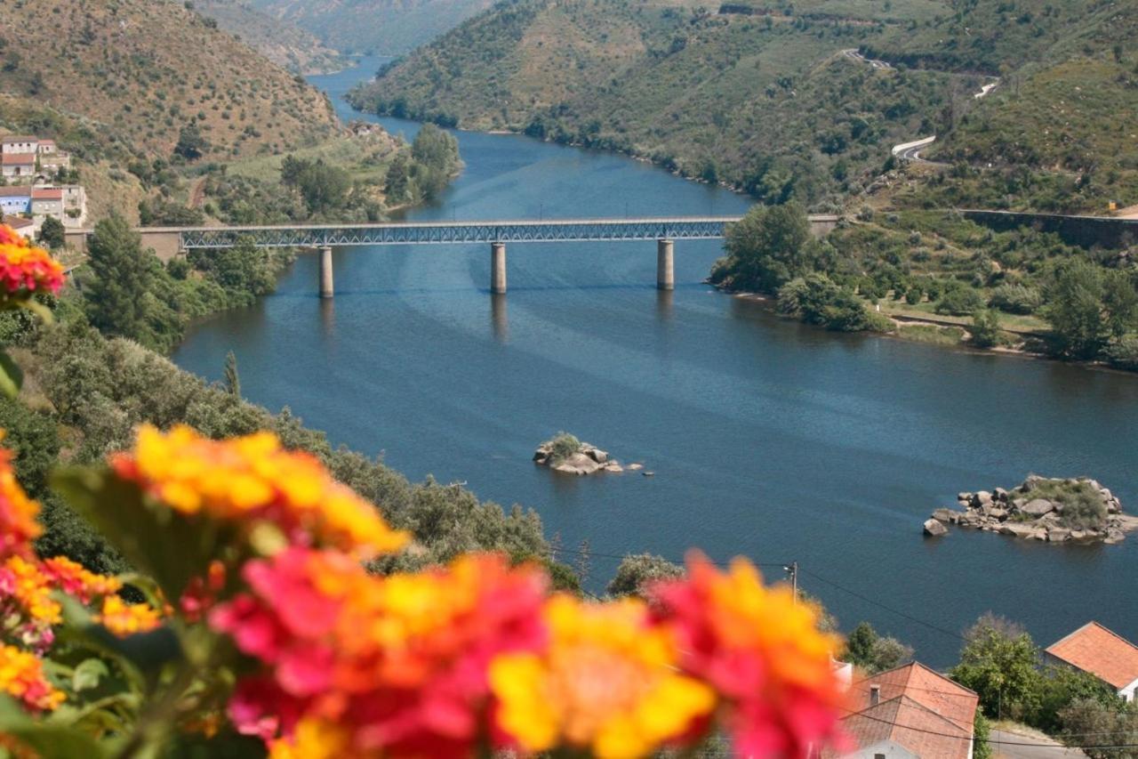 Quinta Do Belo-Ver Turismo De Habitacao Belver  Exterior foto
